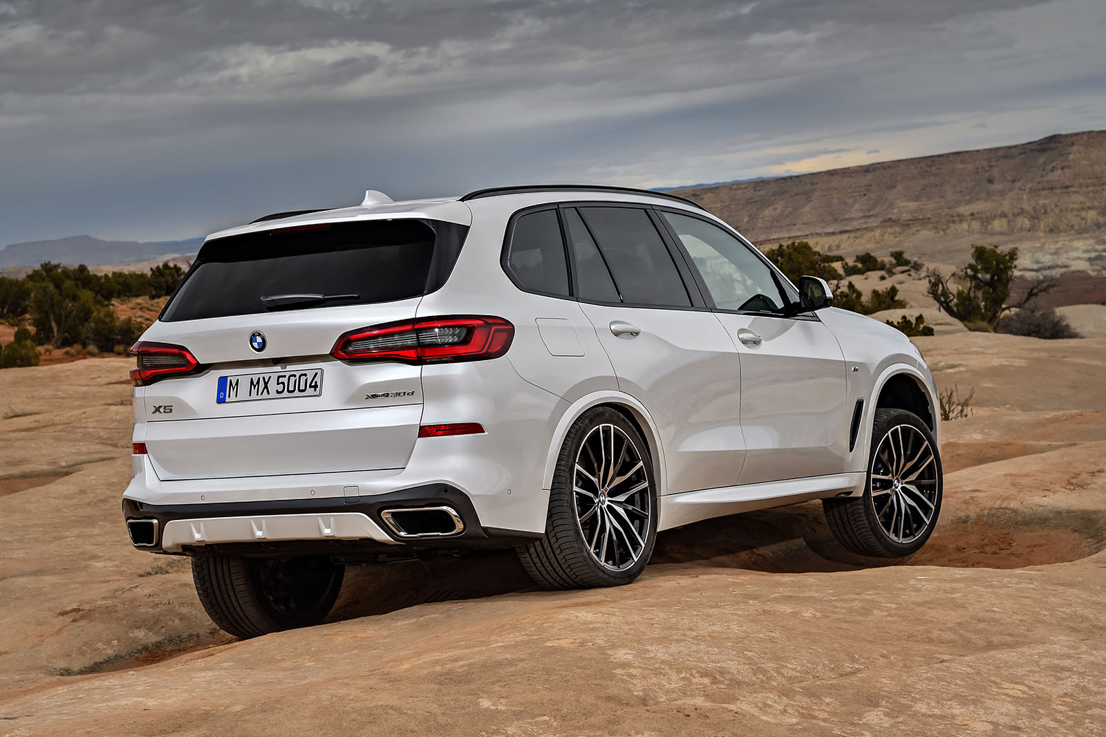 Bmw x5 2966