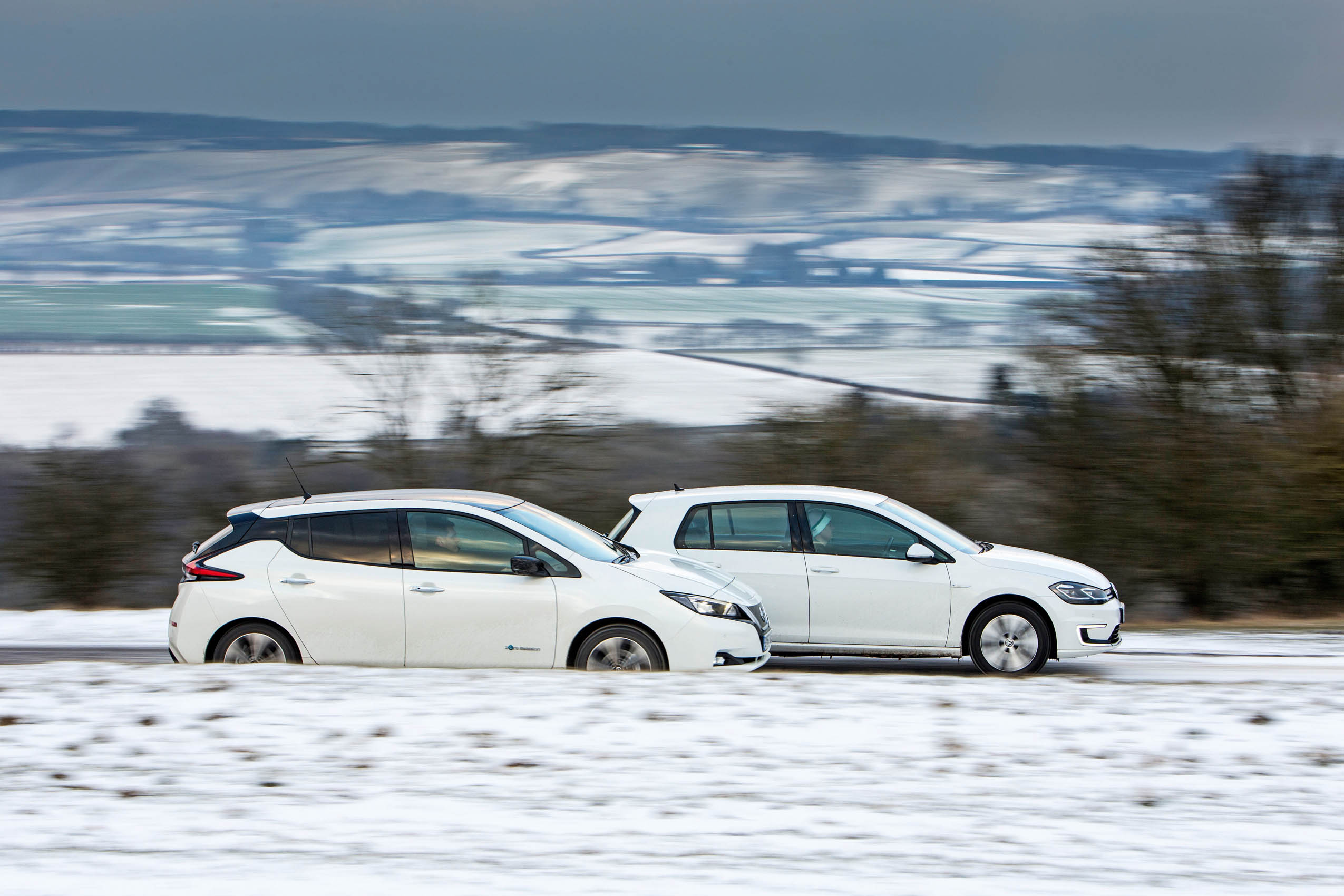 Leaf groupp test 4286