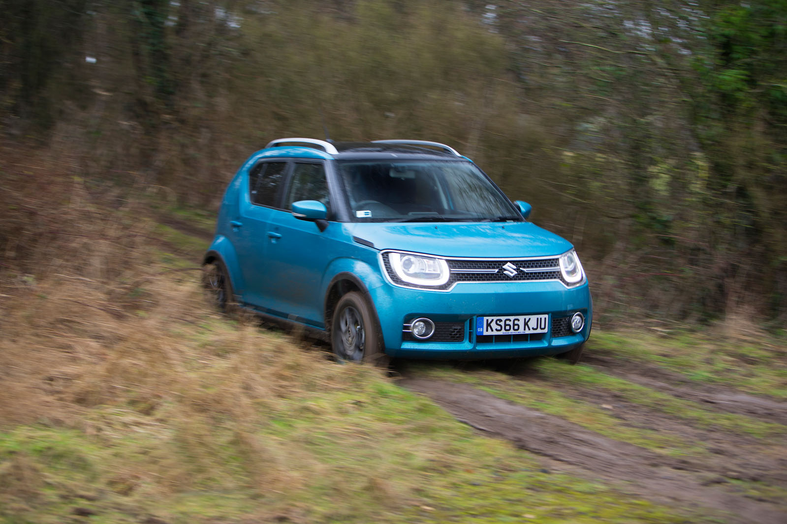 Suzuki ignis greenlaning 0926