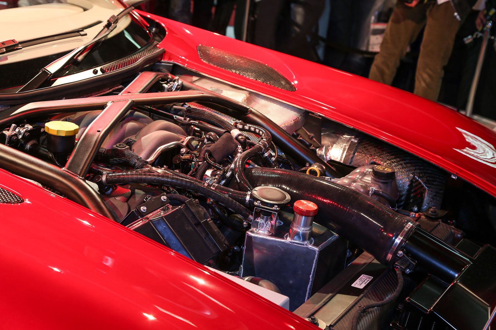 Tvr 0229