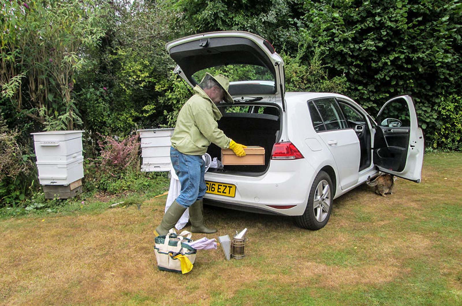 Vw gollter update bees 546 2