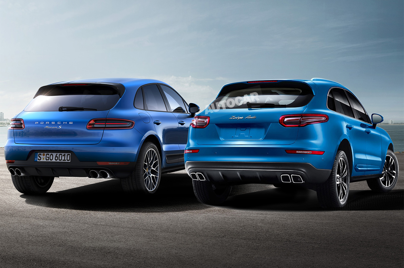 Zoyte comparo macan 617