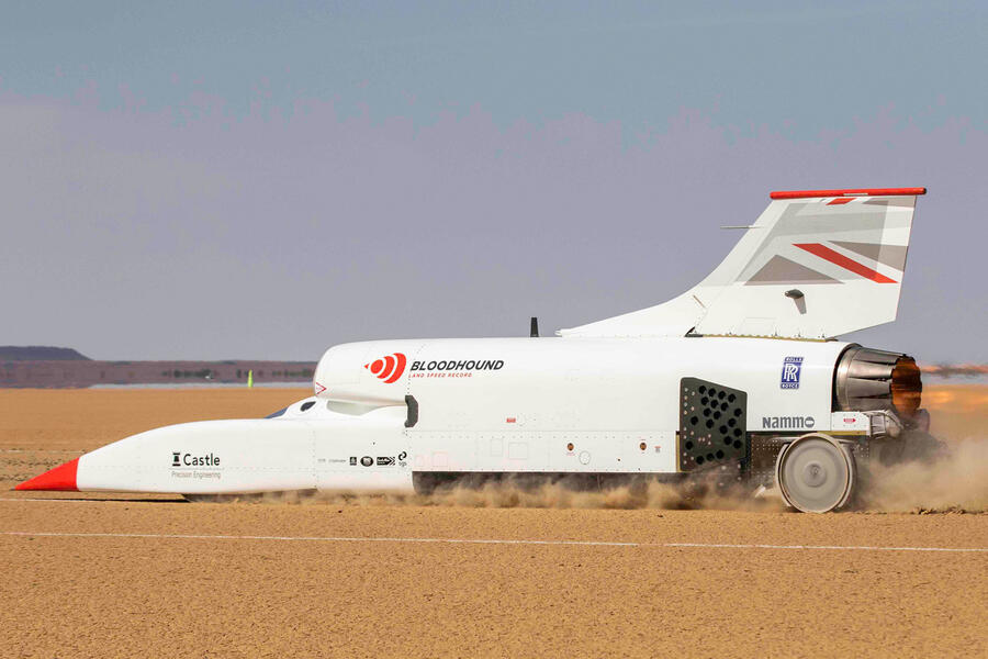 Bloodhound 1