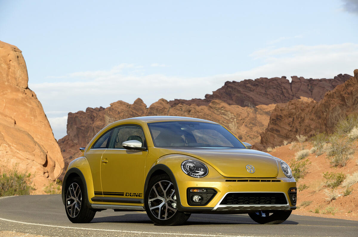 Beetle dune weba 0071