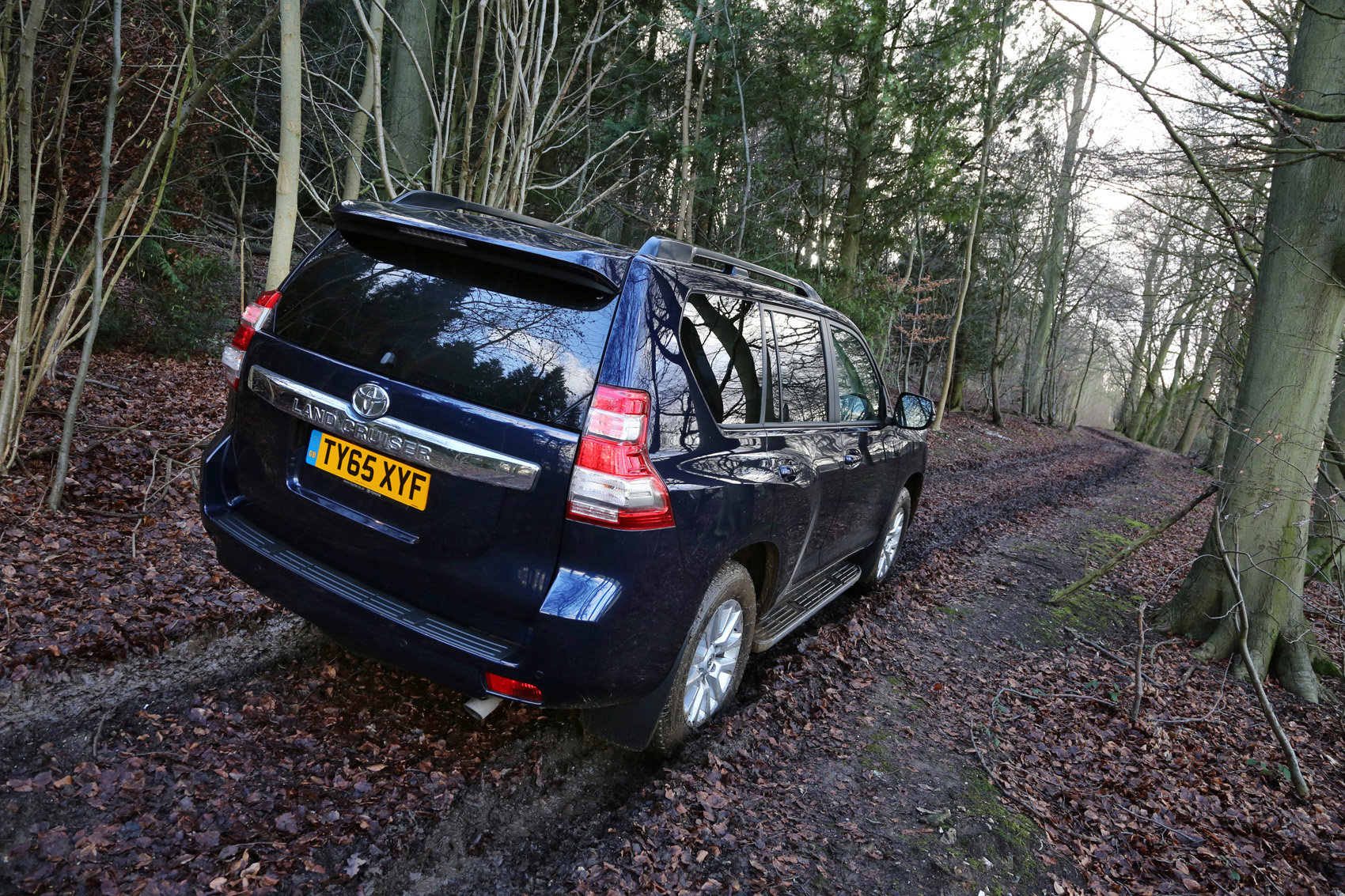 Toyota Land Cruiser rear